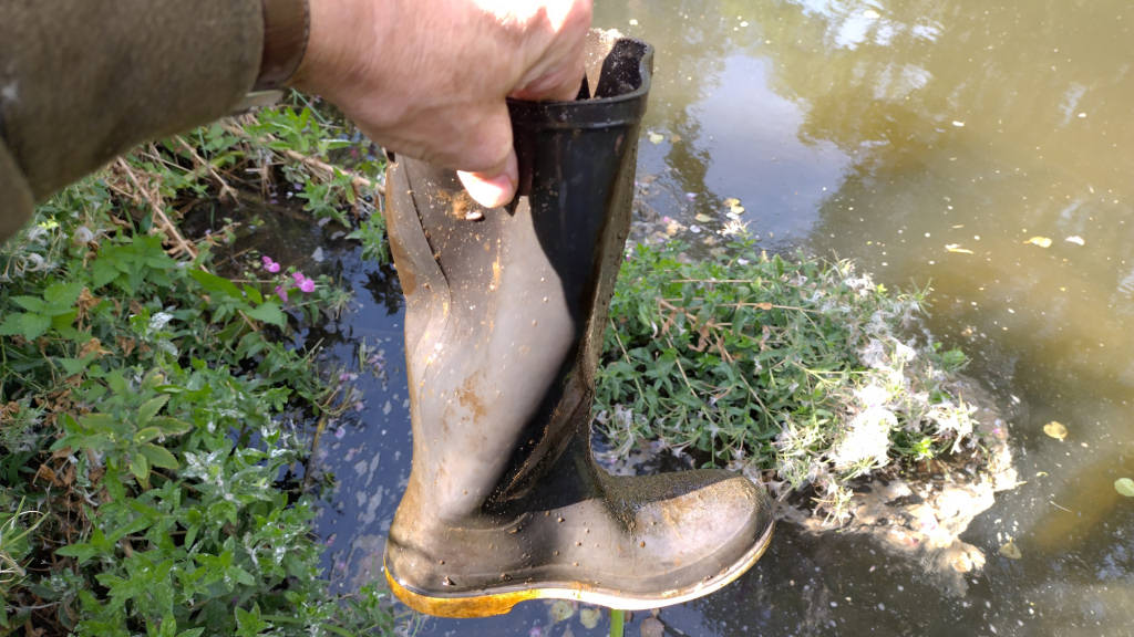 Photo of the wellie